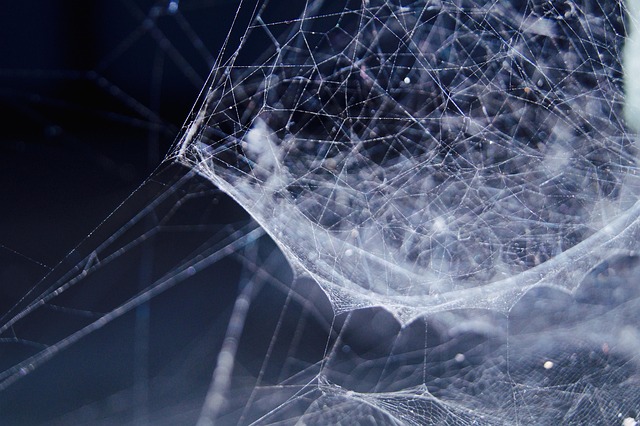 Netværkets magt: Hvorfor relationer er guld værd i erhvervslivet