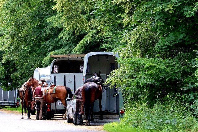 Flyt nemt dine ting med en trailer: Effektive tips til sikker transport